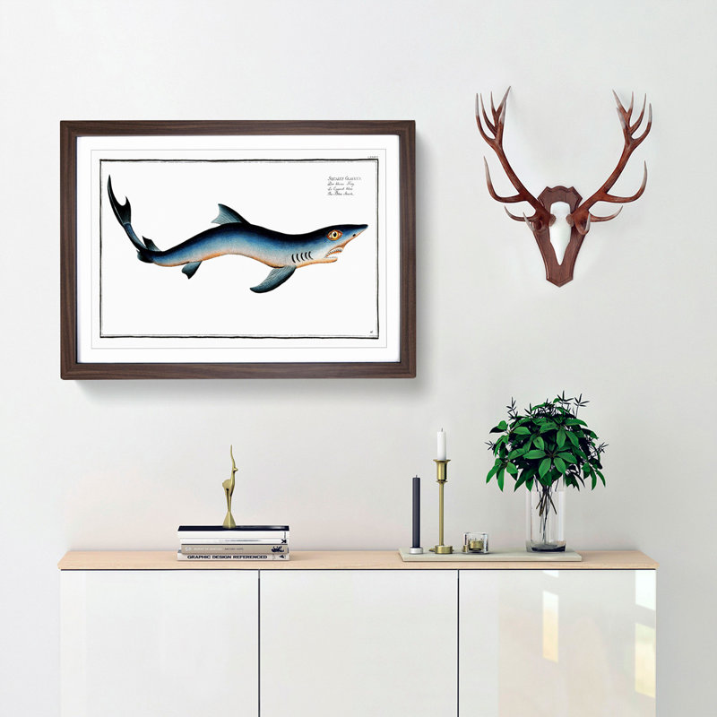 Blue Shark by M.E. Bloch - Picture Frame Painting Print, 48cm H x 65cm W x 2cm D, Walnut Framed