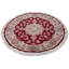 Kassadi Oriental Area Rug in Red