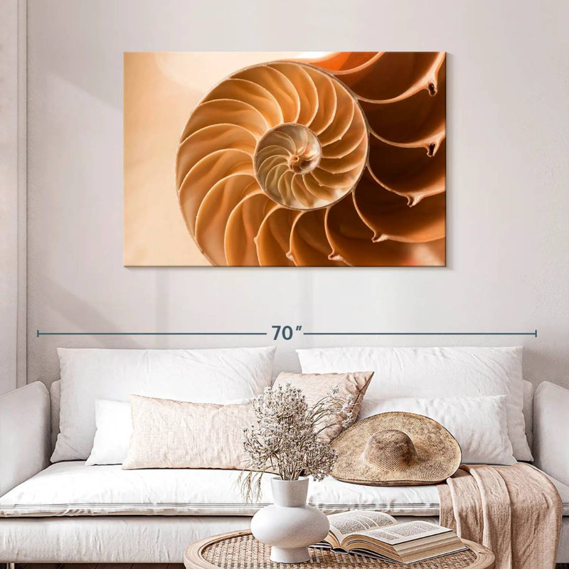 Coque Aletra Nautilus à l'intérieur, H 30 po x l 45 po