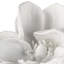 Regina Regina Magnolia, objet (blanc)