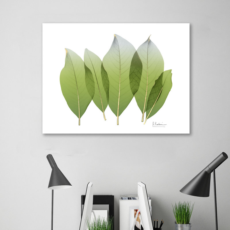 Golden Magnolia Leaf - Wrapped Canvas Print, 30 cm H x 41 cm W