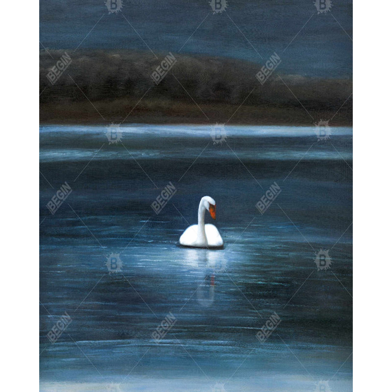 Magnifique cygne - toile blanche romantique pour la décoration intérieure, H 60 po x l 48 po