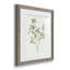 Simple Sprig I - ensemble de 4 reproductions de cadres photo-2075732655-2075732647