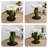 1 Tiers Cat Tree with Perch,Scratching Posts