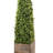 Armatha Faux Boxwood Topiary-498386899