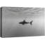 Black and White Shark Ocean Depth Modern Coastal Decor – Pictures Framed Canvas Print Wall Art-120796995-120796996