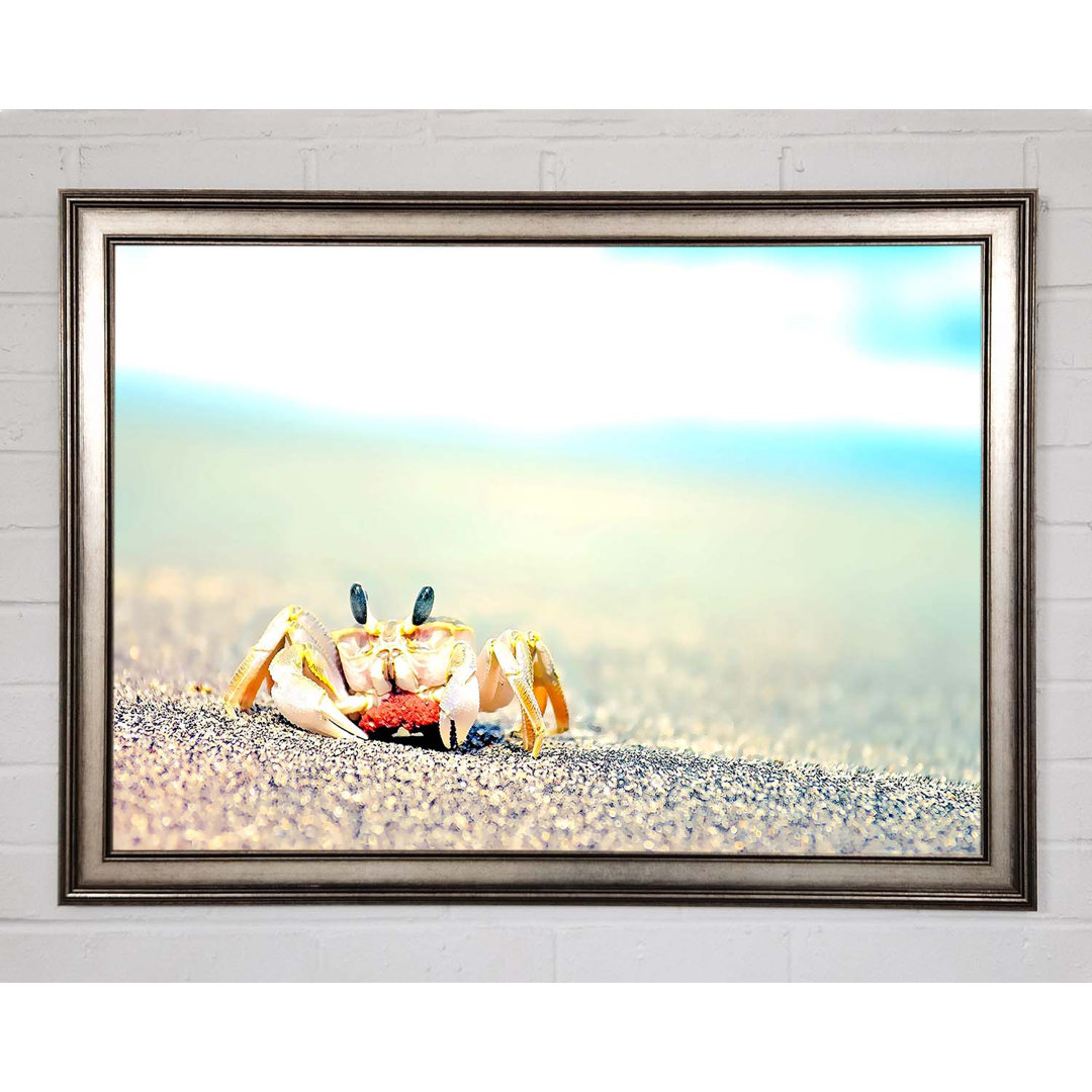 Gerahmtes Bild Lonely Crab