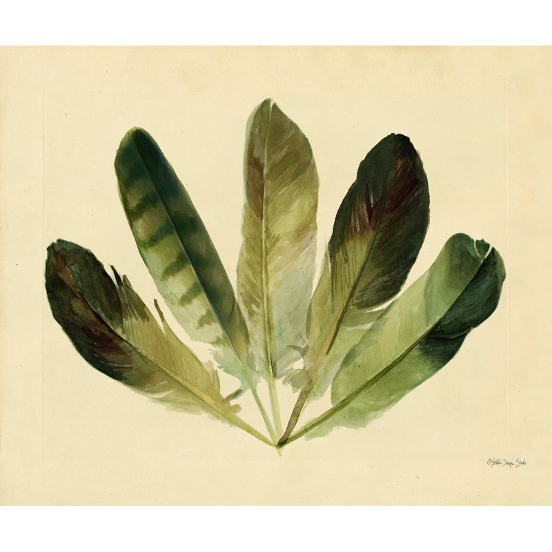 Cinq plumes - impression sur toile tendue, H 12 po x l 16 po