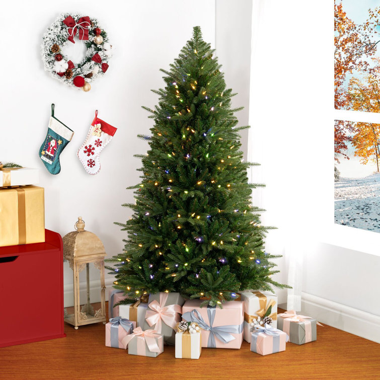 The Holiday Aisle® Birch 48' Traditional Christmas Tree with LED Lights and Remote  Control, Christmas Tree