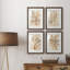 Parchment Coral I - ensemble de 4 reproductions de cadres photo-2014908188-2014908191