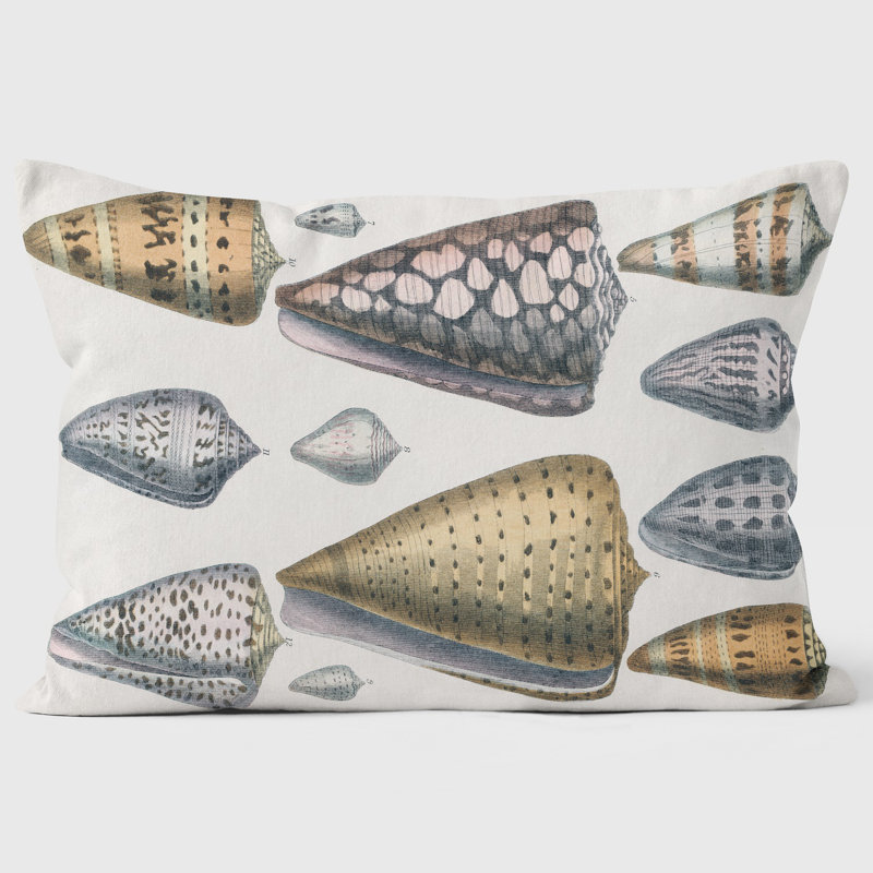 Shells - Shoreline Style