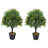 27.5'' Faux Cedar Topiary in Pot