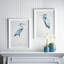 Blue Heron Prints Set
