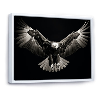 " Bold Eagle Power Hunter IV "