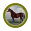 Ensemble de table English Thoroughbred-507208772