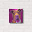 «Pit Bull - Bama» par Dawg Painter-1773179838