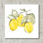 «Lemons IV» par Chris Paschke-1211785175