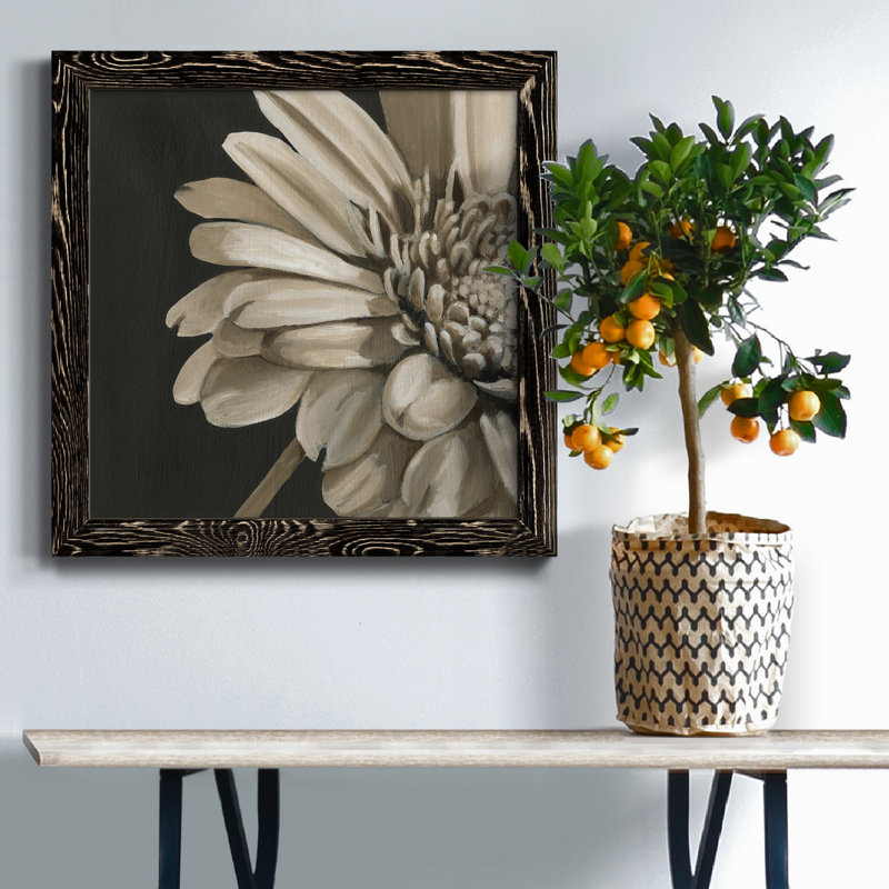 Classical Blooms IV - Art mural, H 31,5 po x l 31,5 po x P 1,5 po, Noir