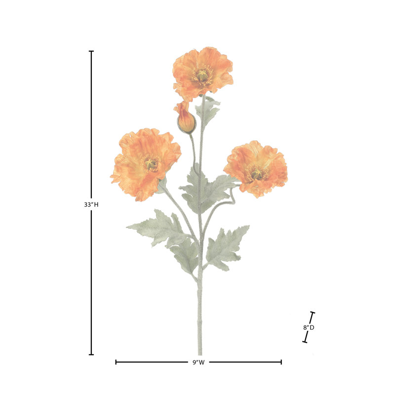 33 po Wild Poppy , Orange