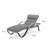 Fionnula Aluminum Patio Chaise Lounge Set with Cushions-1637326621