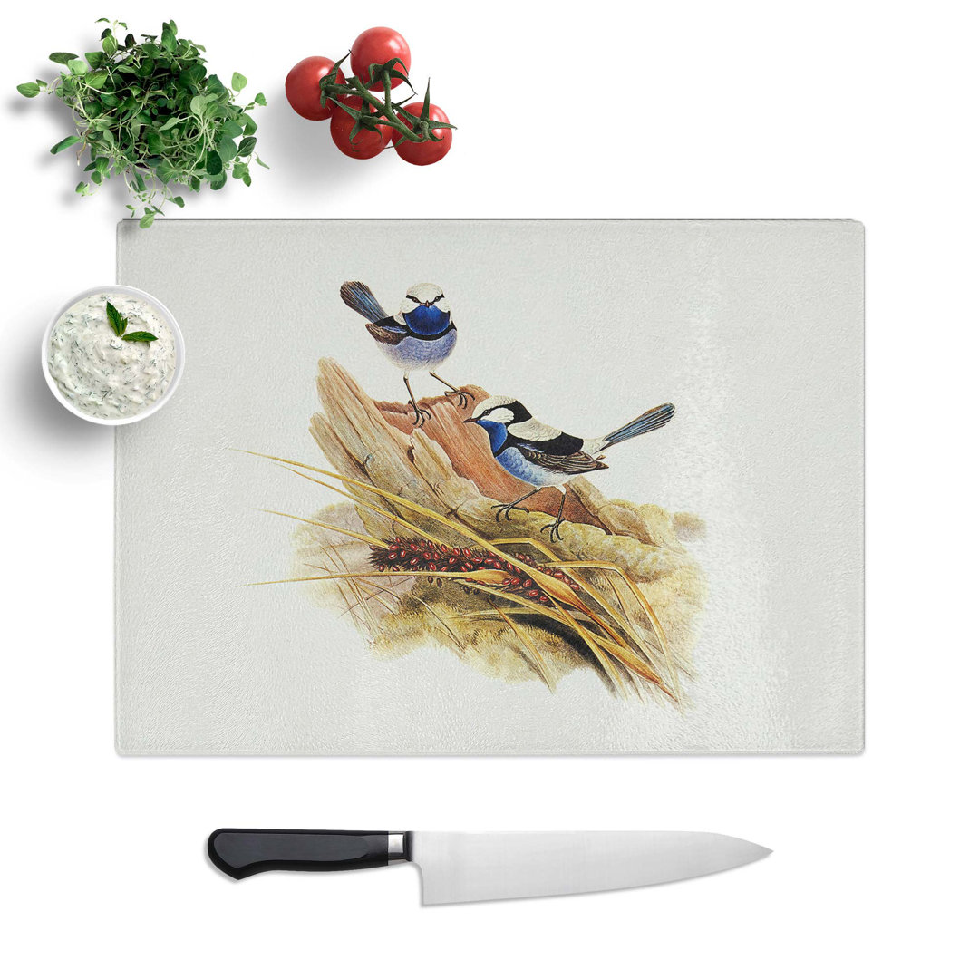 Tempered Glass Turquoisine Superb Warblers by Elizabeth Gould Chopping Board