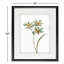 «Neutral Botanical I», ensemble de 2 reproductions de peintures à l'acrylique encadrées-28785931