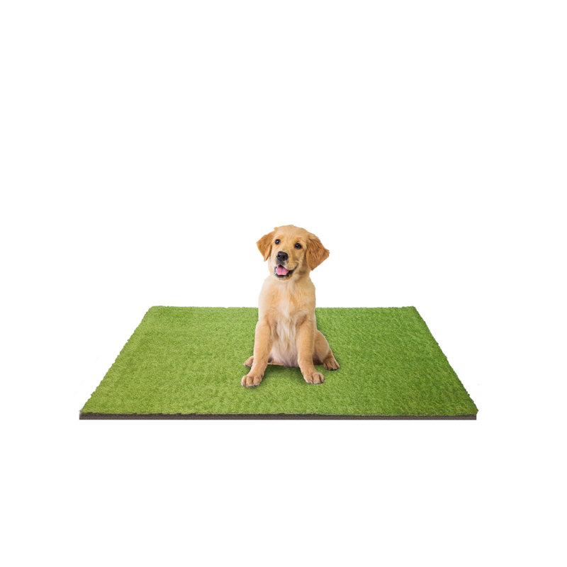 Dakota Fields Outdoor UV Resistant Artificial Grass