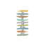 Turn Cant's Into Can's by Marla Rae - Wrapped Canvas Panoramic Print-245660968