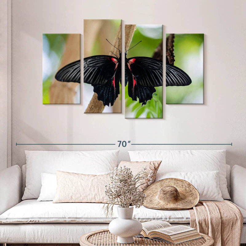 Brampt Swallowtail Butterfly