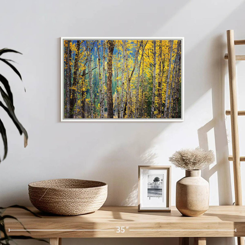 Kootenay Fall II, Cadre flottant blanc, 19 po x 13 po