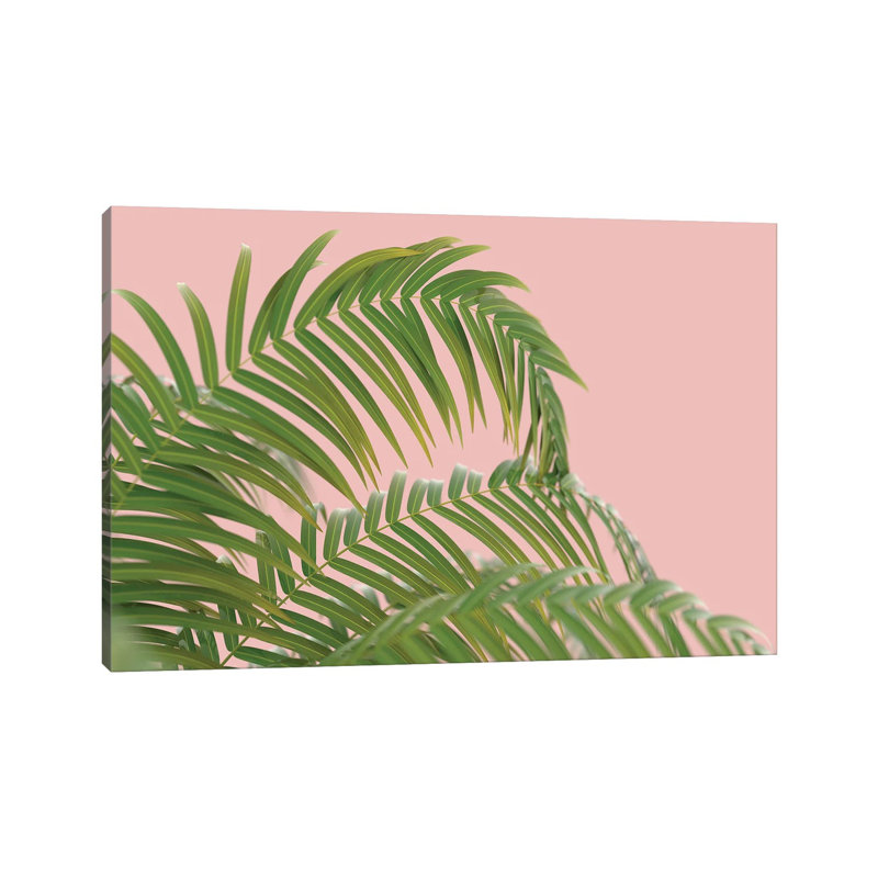 Palm Branch On A Peach Background II by Mike Kiev - Wrapped Canvas Print, 20.32 cm H x 30.48 cm W
