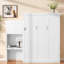 Murphy Bed With Storage Shelves And Louvred Style Decoration-520183057
