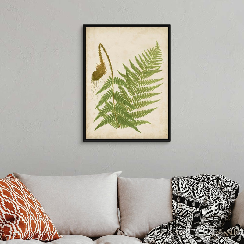 Art mural sur toile Fern Trio I, Toile encadrée noire, H 32 po x l 24 po x P 1,75 po