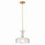 Luminaire suspendu en forme de dôme en verre transparent à 1 lumière