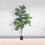 60 arbres à violon