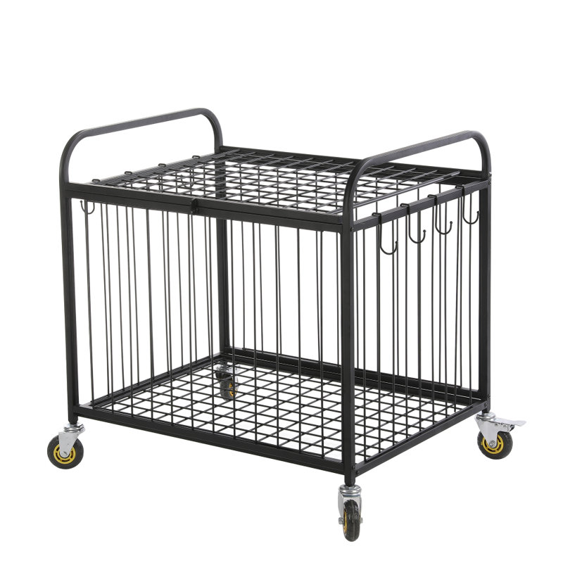 Iron Multi-Use Sports Rack