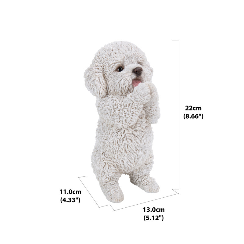 Chiot caniche jouant