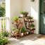 Breckston Solid Wood Pine Plant Stand 6 Tier