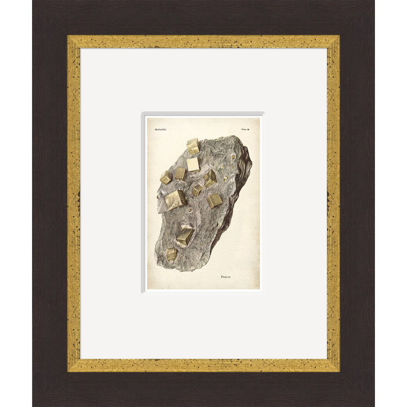 Geos 14 Print by Soicher Marin Archives
