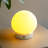 Wrought Studio™ Ceramic Touch Lamp