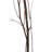 Seaford Willow Branches-737913346-737890572
