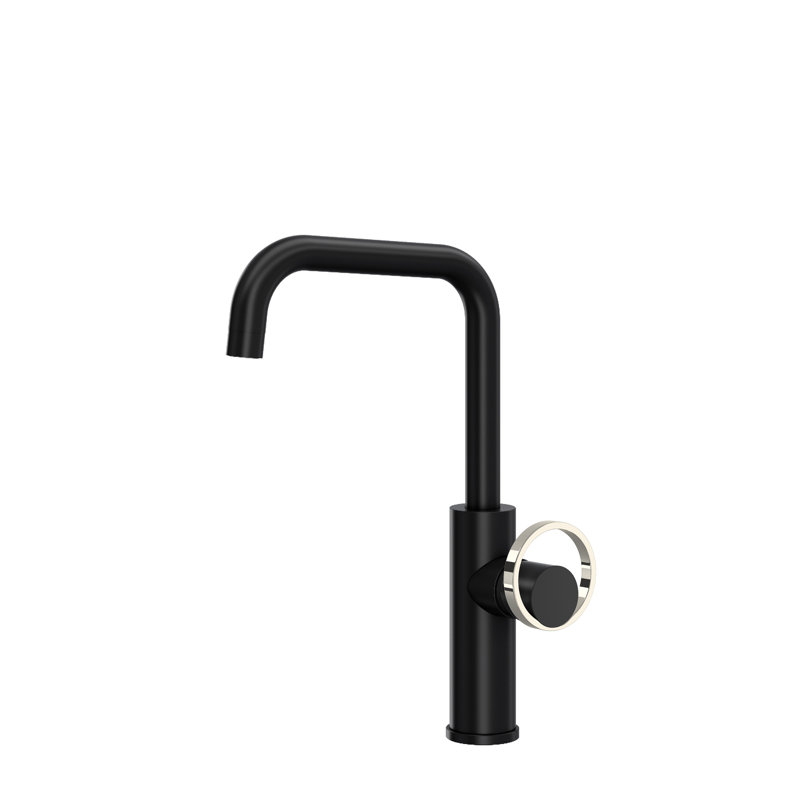 Eclissi™ Bar/Food Prep Kitchen Faucet with U-Spout and Handle, Matte Black/Polished Nickel