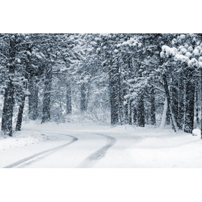 Heavy Snow by Swkrullimaging
