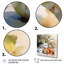 Simple Nature morte fruits et pichets I - art mural de cuisine-88550275