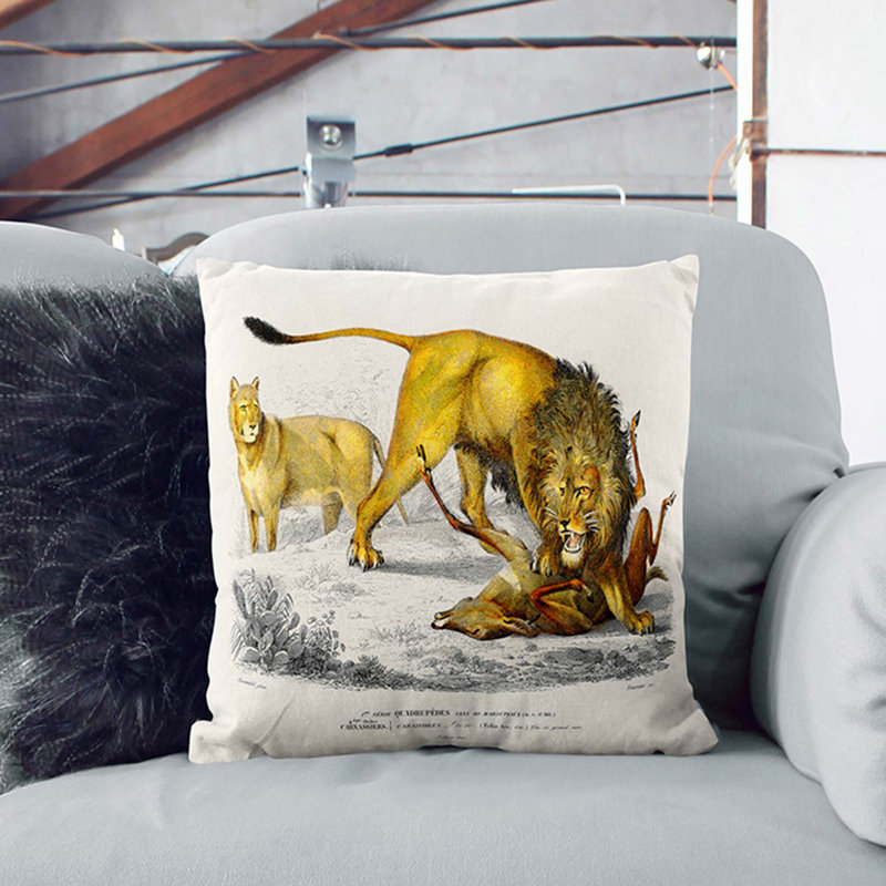 Lion Illustration by Charles D' Orbigny Cushion with Filling, 40cm H x 40cm W x 15cm D