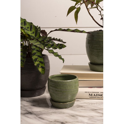 Pot à fleurs moyen rond vert avec soucoupe pour plantes et décoration