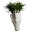 Vase mural Equus