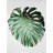 Monstera Leaf - Framed Botanical Print for Office Decor