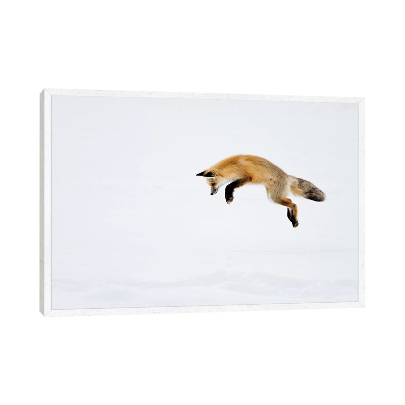 Red Fox Leaping for His Prey Under the Snow, Yellowstone National Park, Wyoming 1 Piece Floater Frame Wall Art on Canvas