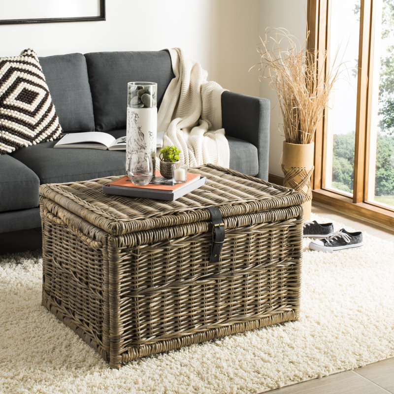 Coffre en osier Caden, Naturel, H 18,3 po x l 29,9 po x P 23,6 po